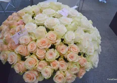 Some of PJ Dave's new rose varieties: Primavera/Pomarosa and Adolania